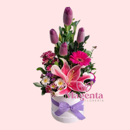Box Tulipán Lila