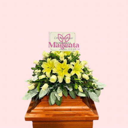 Manto 020