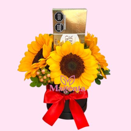 Girasol Chocolatero