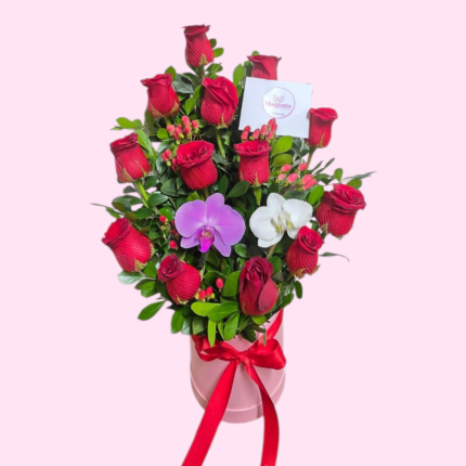 Box orquídea