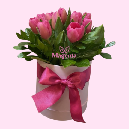 Tulipan magenta